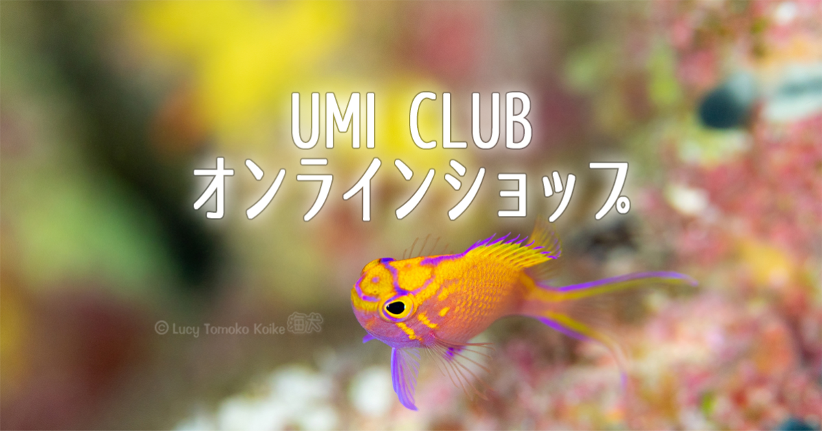 UMI CLUBオンラインショップメインビジュアル
