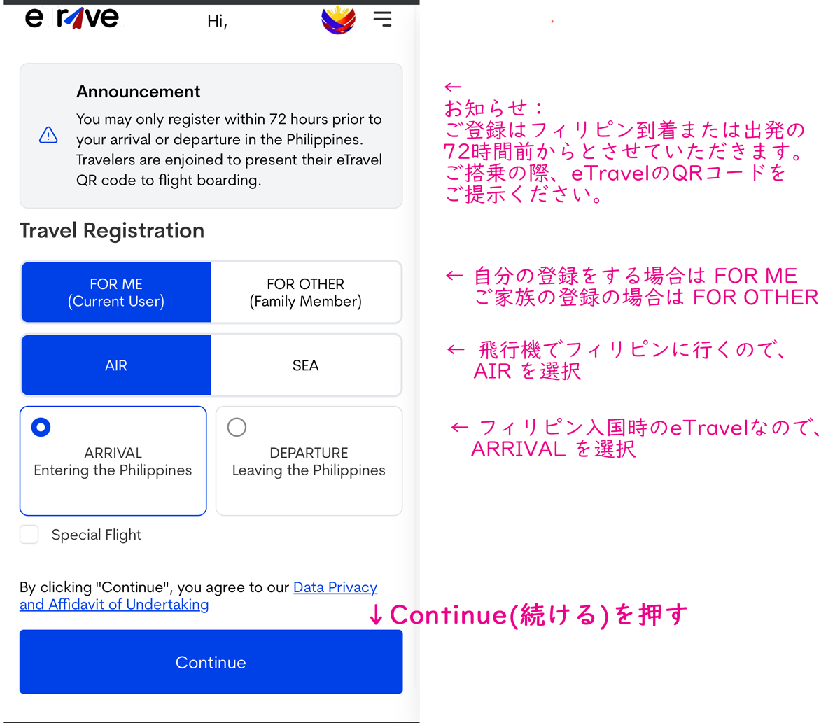 eTravel入力画面6