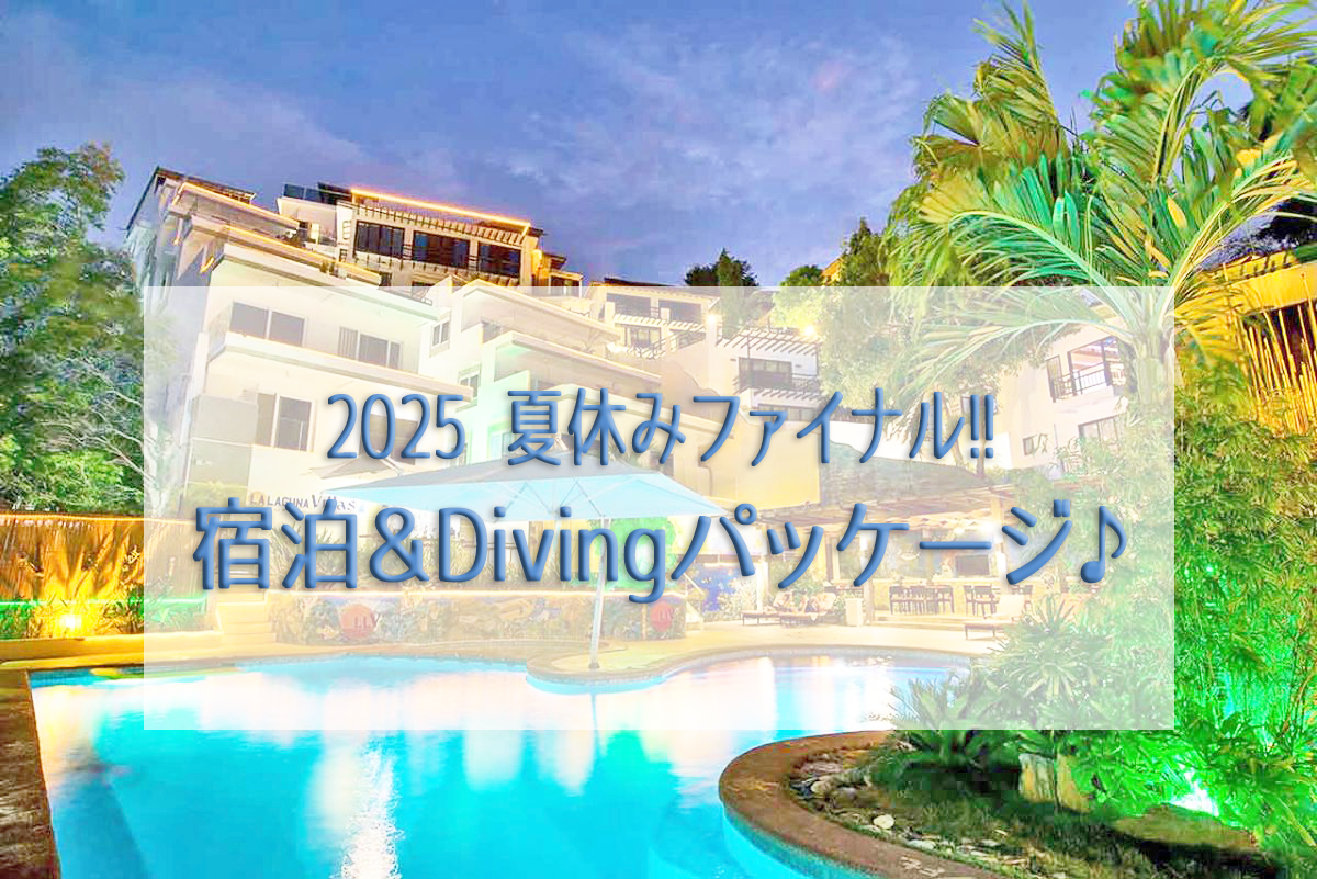 【夏休みファイナル!!】まだ間に合います!!　宿泊＆Divingパッケージ♪2025