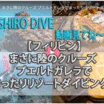お家でプエルトガレラ ダイビング旅を体験♪-SHIRO DIVE-